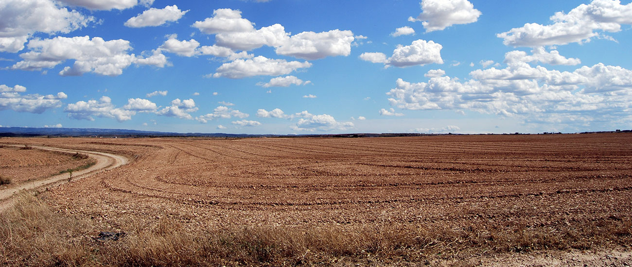 Land Purchasing